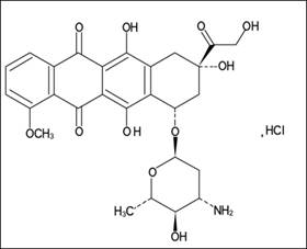 Epirubicin Hydrochloride for Injection(图1)